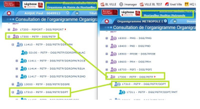 Organigramme.jpg
